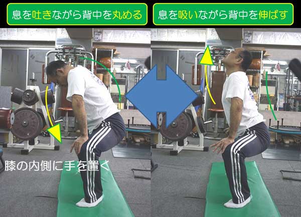 永田一彦 舞い技塾【ハーモニアス・ストレッチング】ハーモニアスforストレッチング (ks0gab) 五反田トレーニングセンター ワークアウト