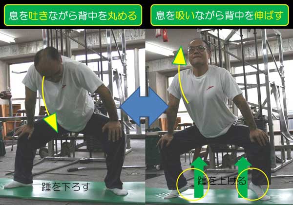 永田一彦 舞い技塾【ハーモニアス・ストレッチング】ハーモニアスforストレッチング (ks0gab) 五反田トレーニングセンター ワークアウト