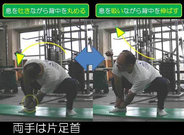永田一彦 舞い技塾【ハーモニアス・ストレッチング】ハーモニアスforストレッチング (ks0gab) 五反田トレーニングセンター ワークアウト