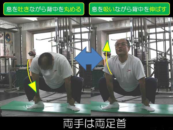 永田一彦 舞い技塾【ハーモニアス・ストレッチング】ハーモニアスforストレッチング (ks0gab) 五反田トレーニングセンター ワークアウト